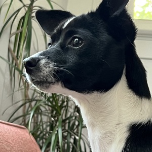 Fundraising Page: Wendy Stanford